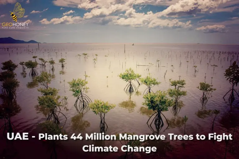 The successful planting of 44 million mangrove trees as part of the UAE's climate change mitigation efforts.